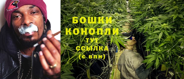 бутират Белокуриха