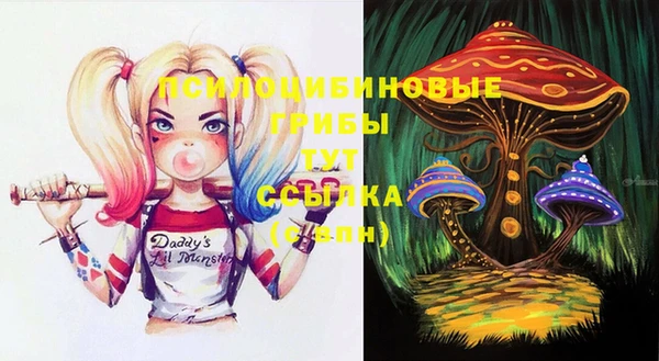 бутират Белокуриха
