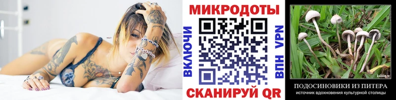 Псилоцибиновые грибы Cubensis  мега tor  Зея  наркошоп 