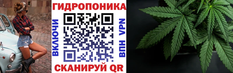 Бошки Шишки LSD WEED  omg сайт  Зея 